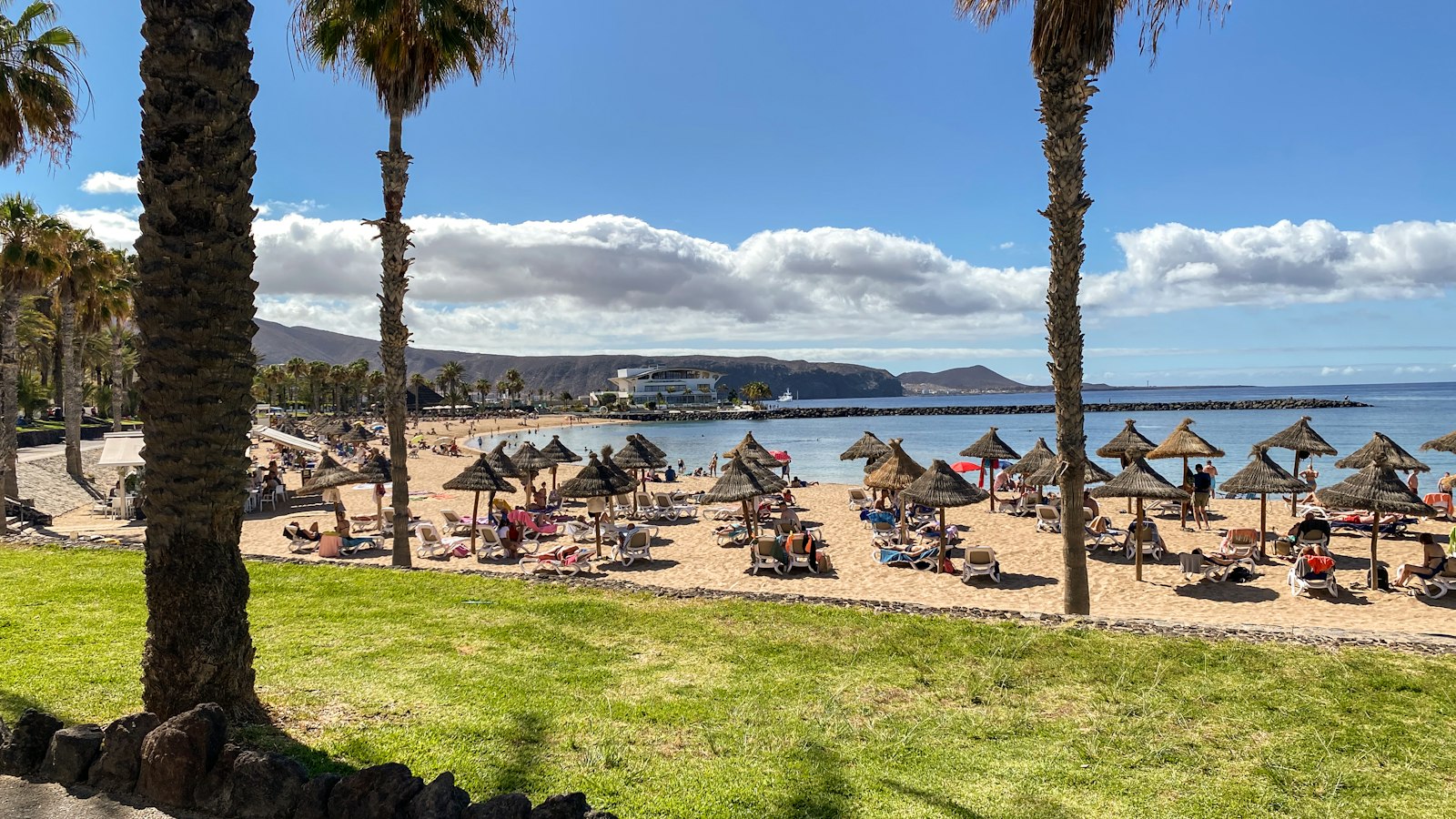 Palm-lined sandy beach in the Canary Islands, still warm enough for swimming in late October
