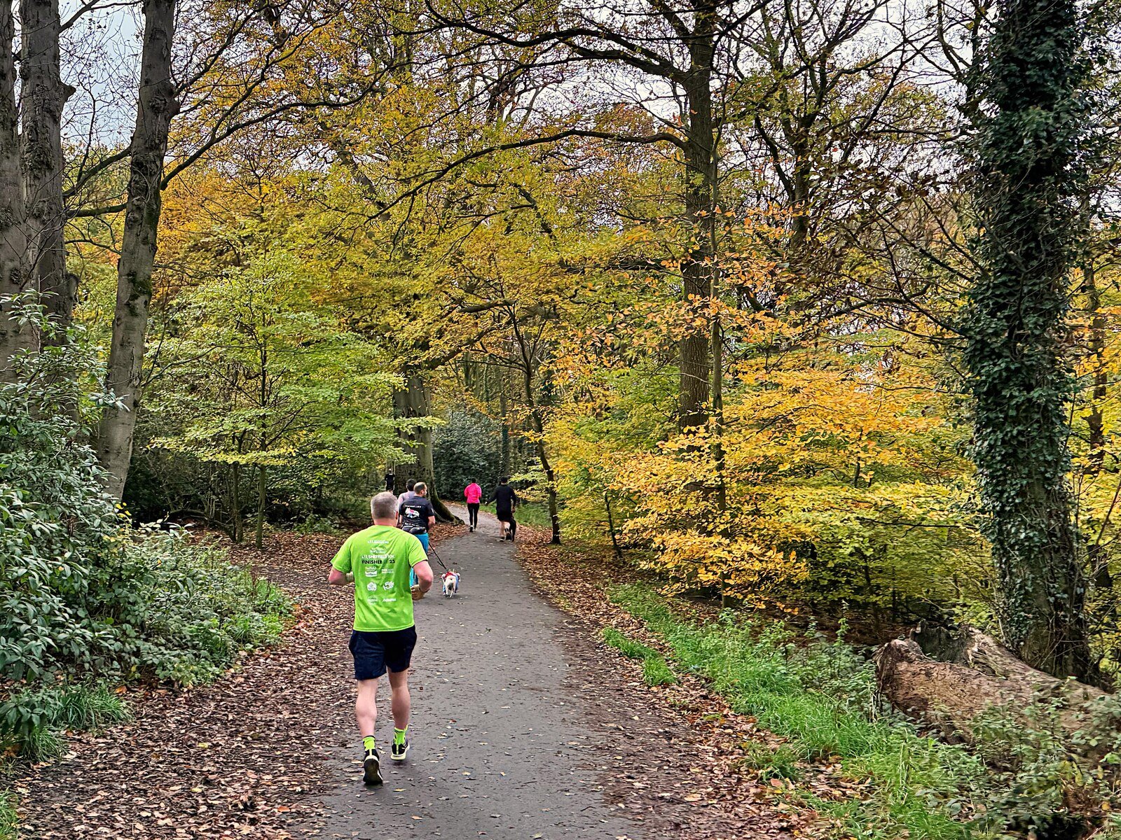 Runners of mixed abilities at a UK parkrun, a format that mixes one hard weekly effort with easy running