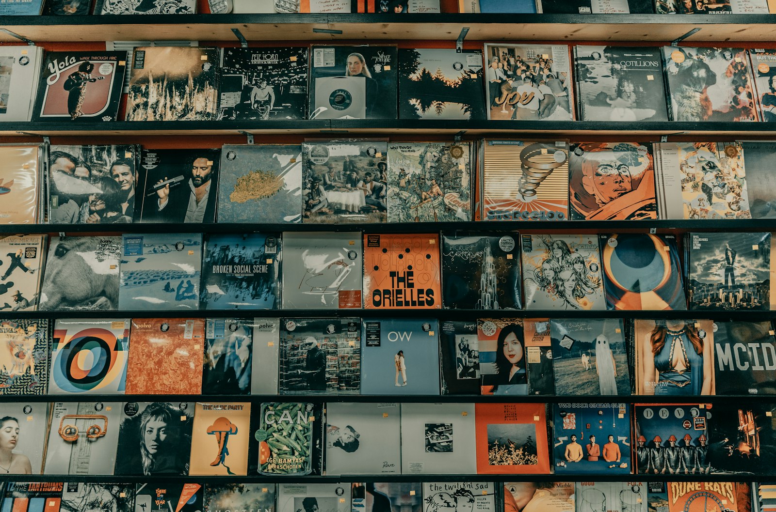 Rows of vinyl albums on wooden shelves in a music shop, where the best British albums of 2026 are selling on vinyl