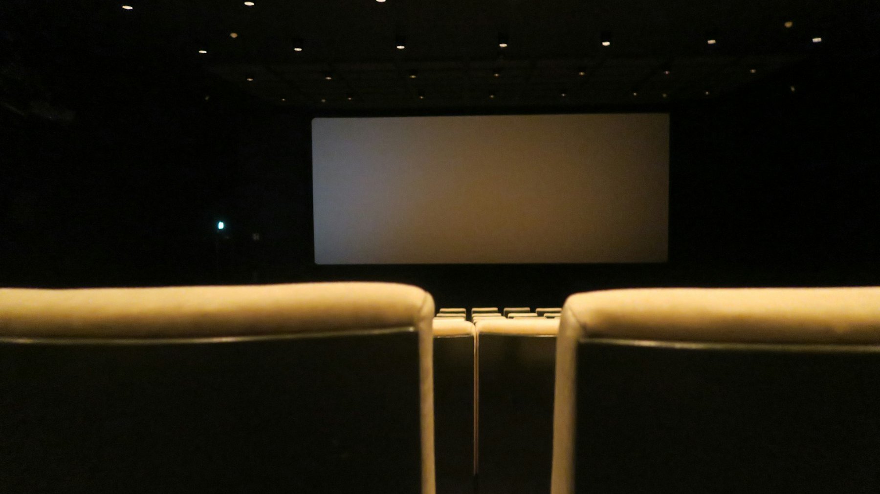 Empty cinema seats facing a blank screen, the setting for the best British documentaries 2026 awards season