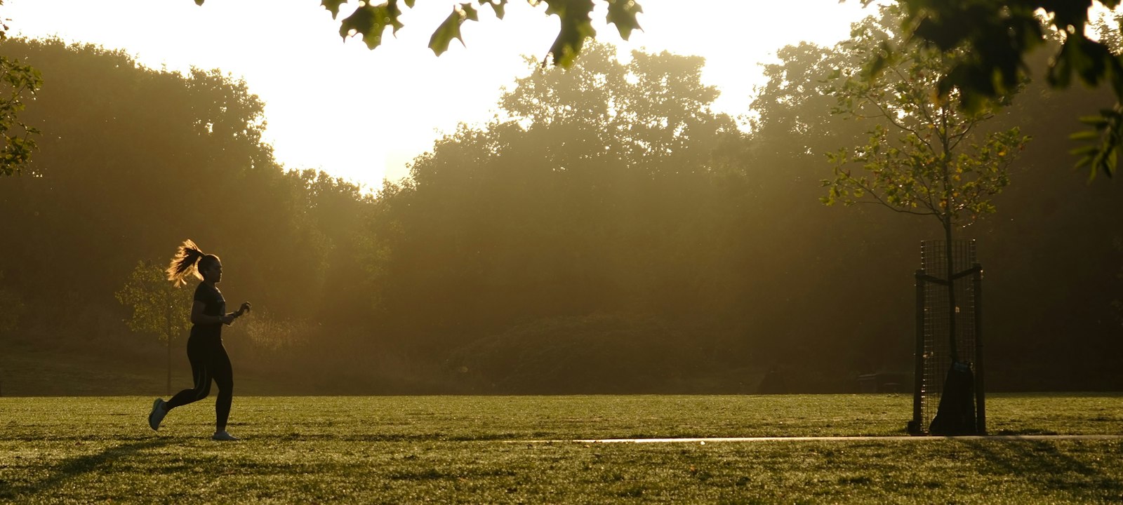 A runner at sunset in a park, the sort of training that leaves sore legs people ask whether massage guns work for