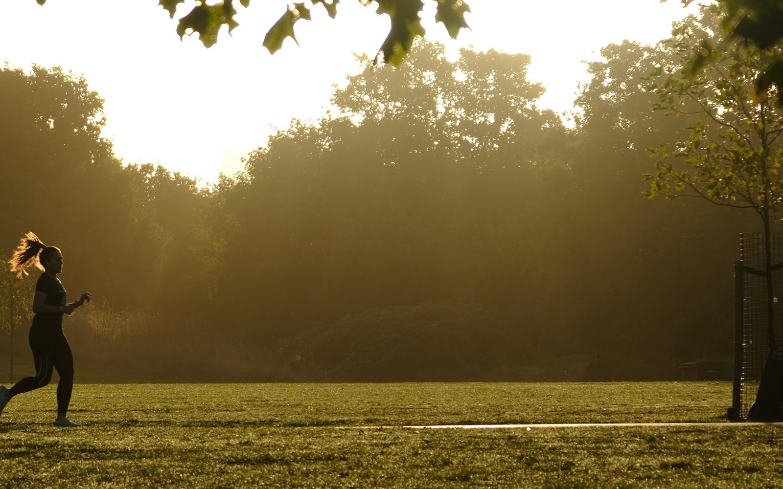 Runner on a park path in autumn light, the sort of easy zone 2 cardio session recommended for steady endurance